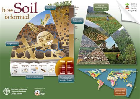  Know Your Soil: An Exploration into Earth's Hidden Wonders